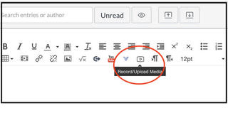 Record Upload icon 2