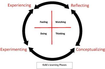Diagram circle with arrows illustrating Kolb's Learning Phases