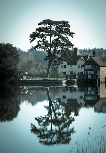 Tree and large home reflected on water